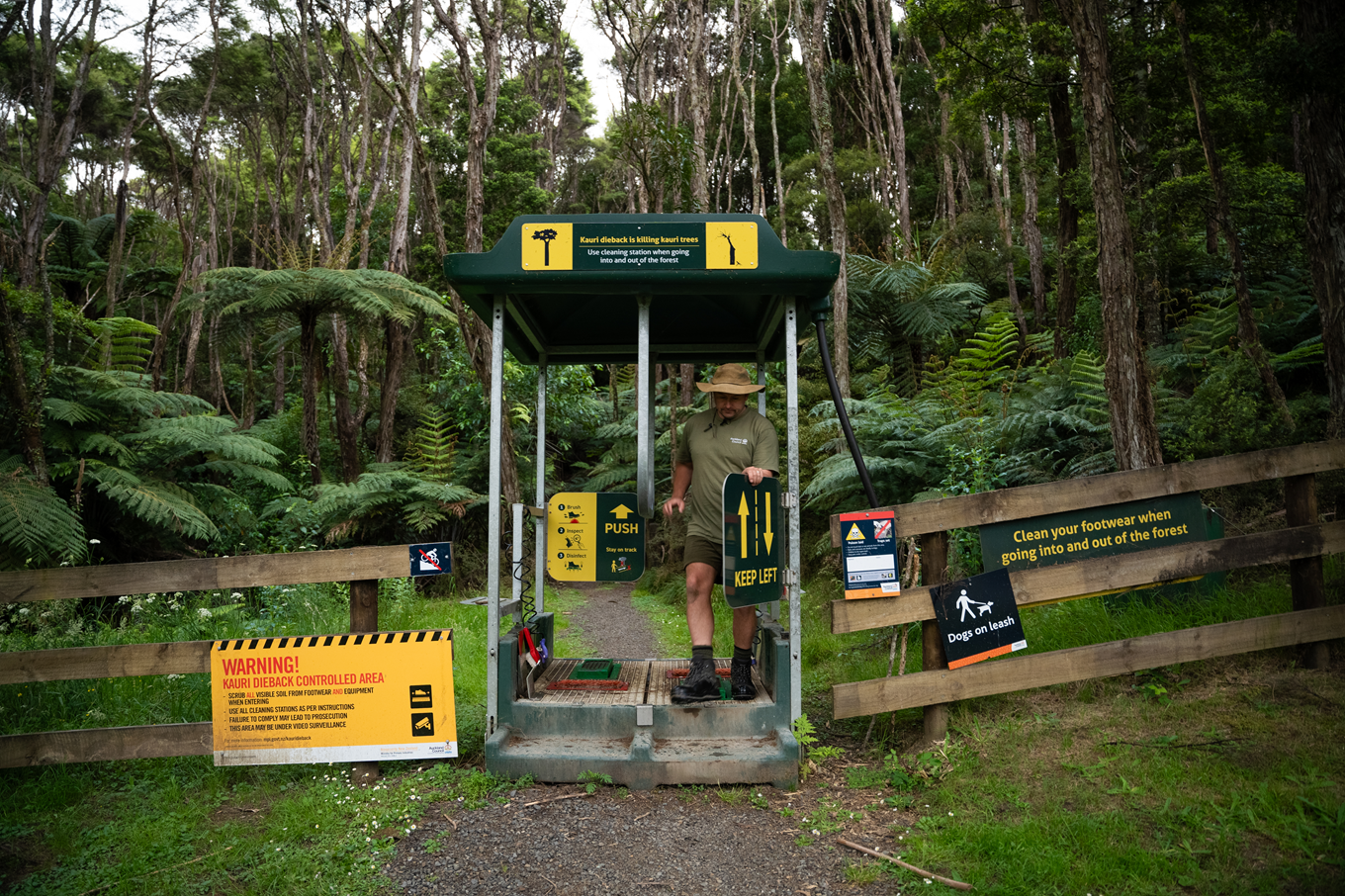 A person using a kauri dieback station before leaving the path. 