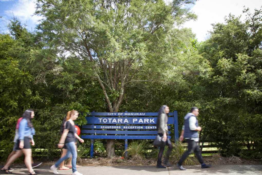 ways to stay active ranger walks