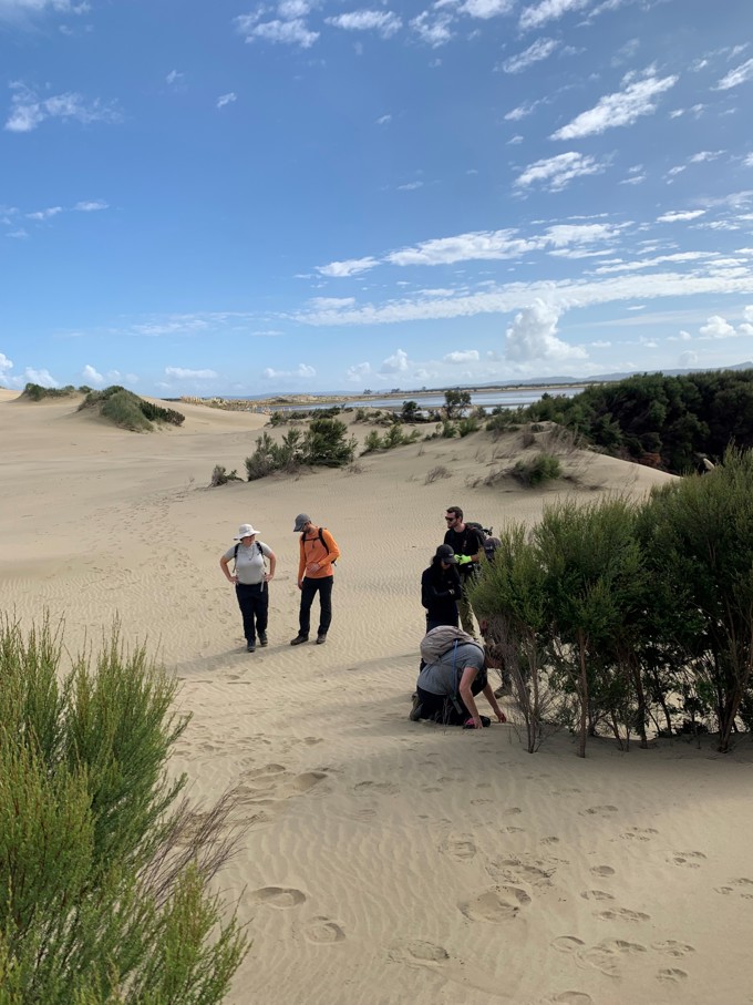 Reptile surveillance 5