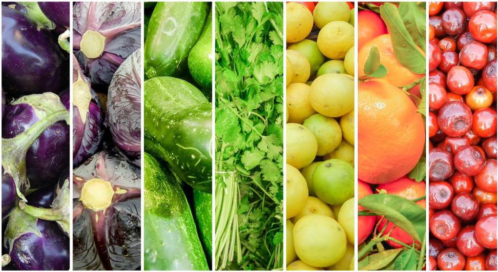 Sweet success for Auckland food producers