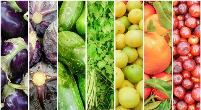 Sweet success for Auckland food producers