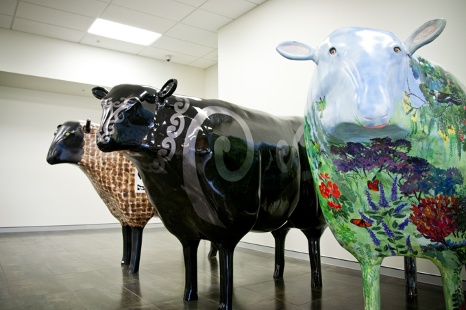 Spotlight on our neighbourhoods  Papakura