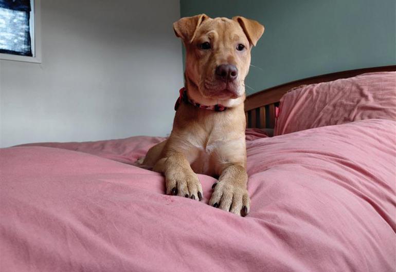 06D8ed20 9798 476F 9Fc5 B4366b524e44