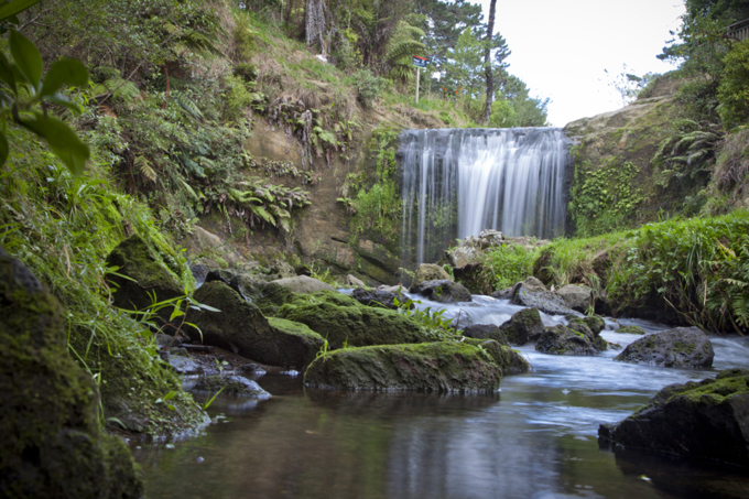Developing Auckland’s climate action plan