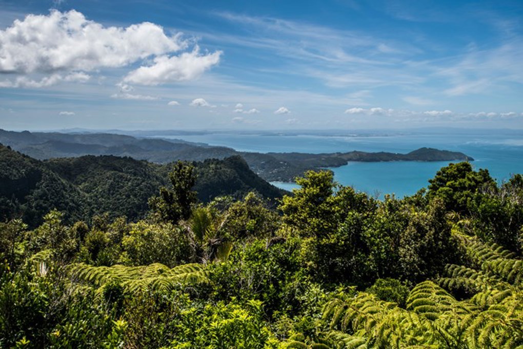 Manukau Harbour