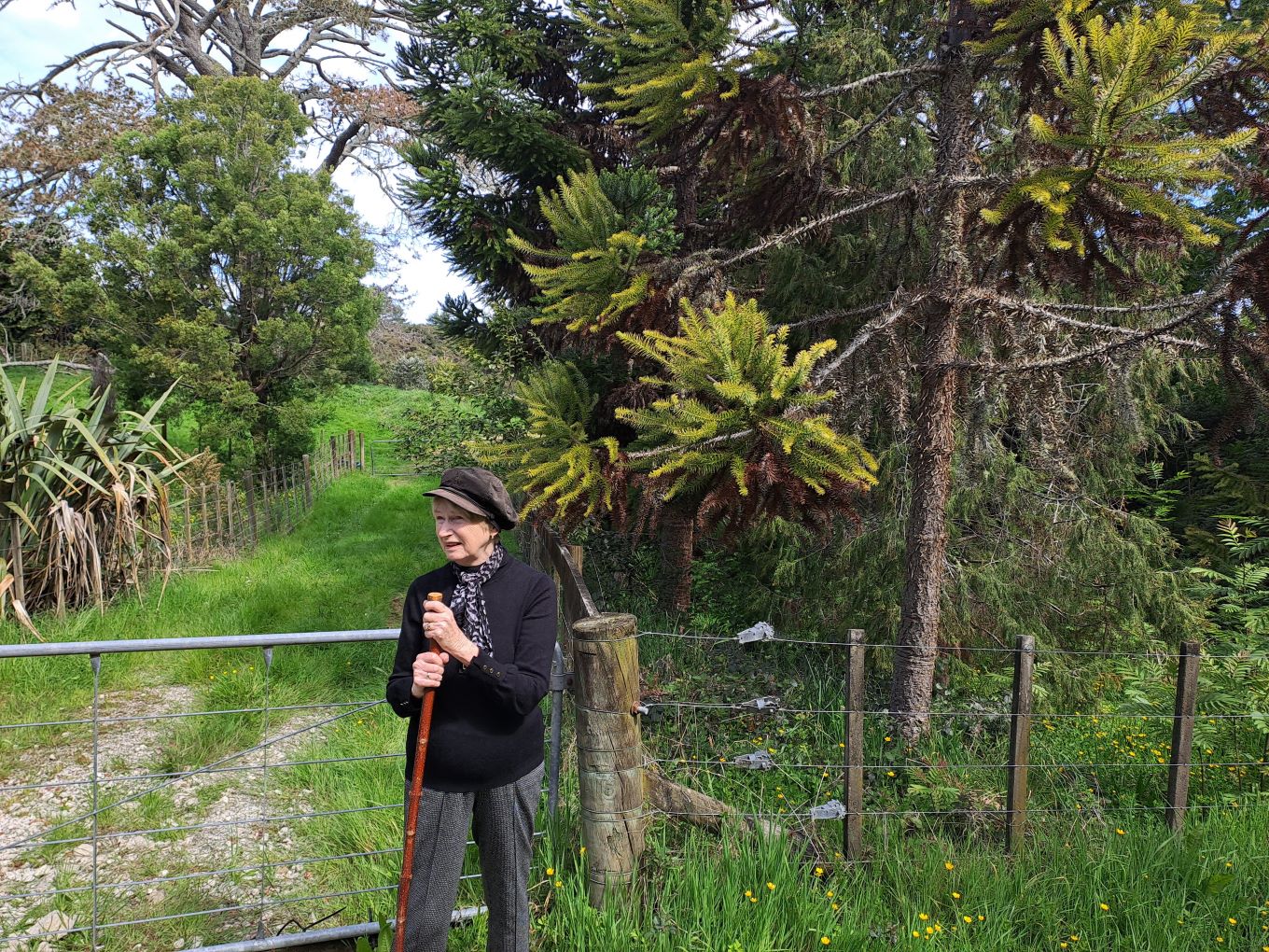 Rosemary Platt on site. 