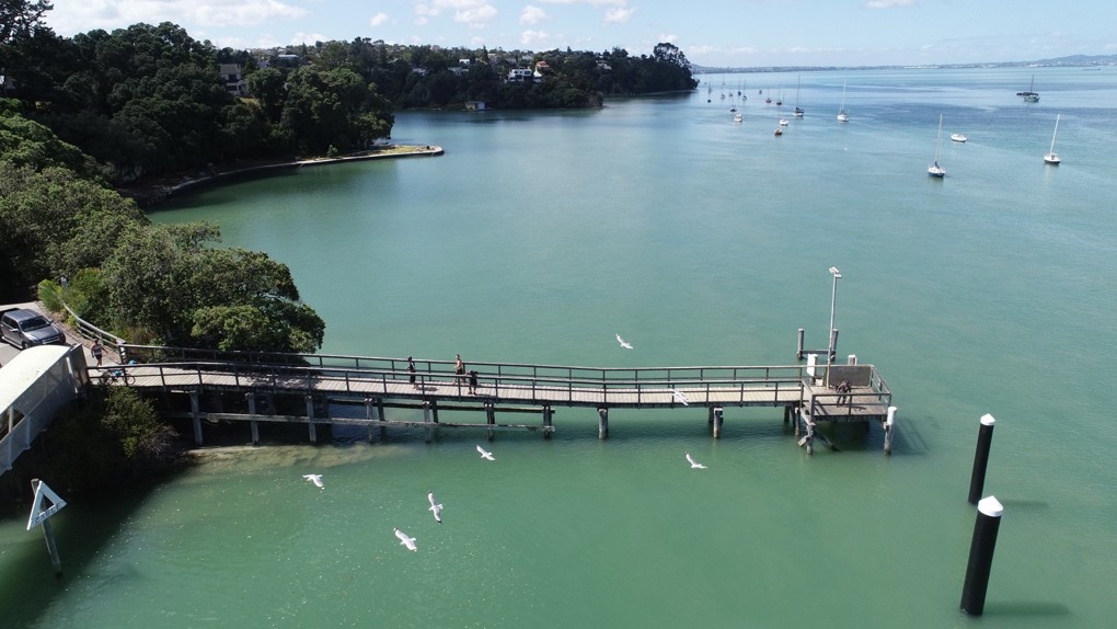 Stronger future for Beach Haven recreational wharf2