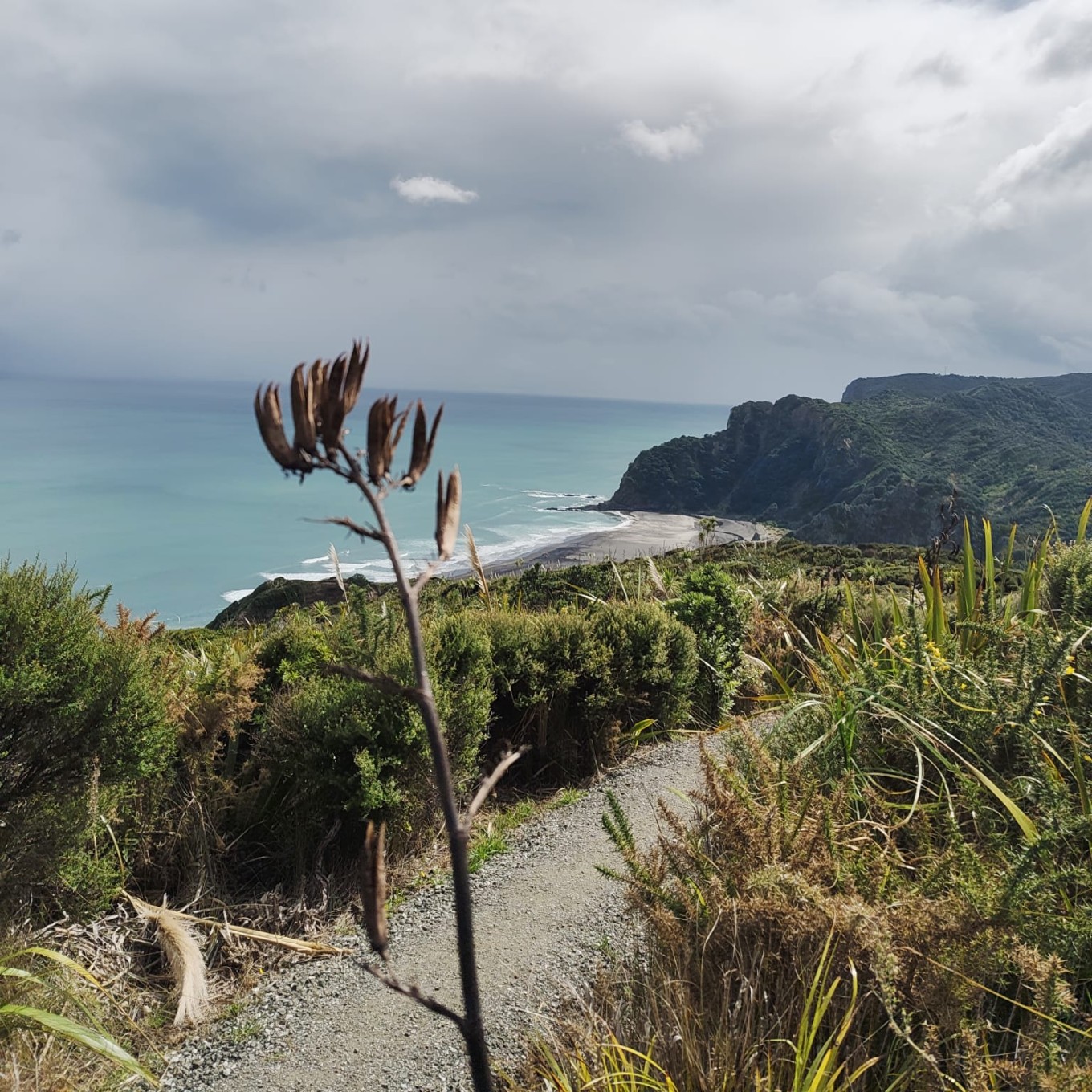 Mountainside view of a costal beach. 