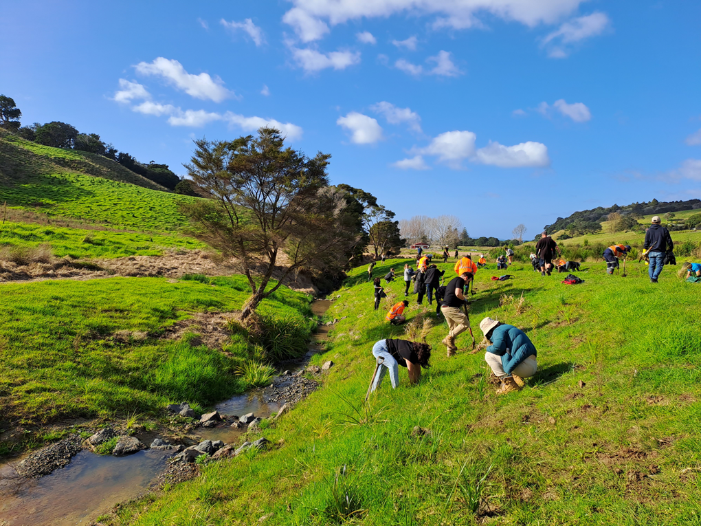 People cleaning Te Muri Park Stream