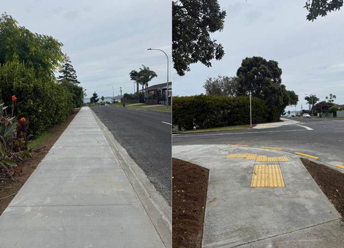 Franklin Paths Shelly Bay Road