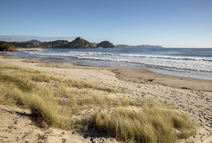 End of term chair’s report: Environment and Community Committee 2016 – 2019