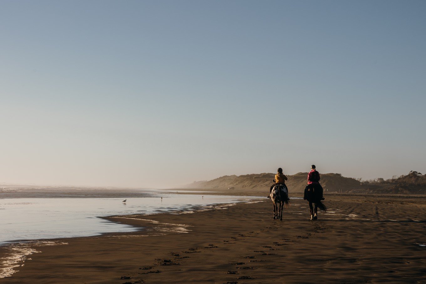 Horse riders on the beach. 