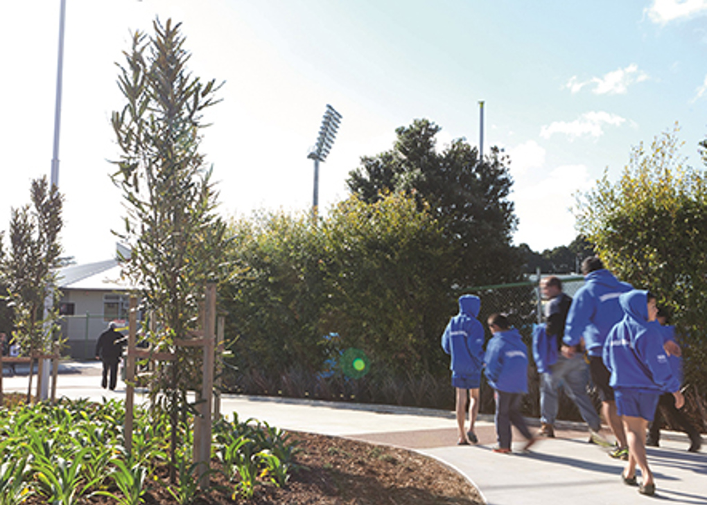 pukekohe upgrades
