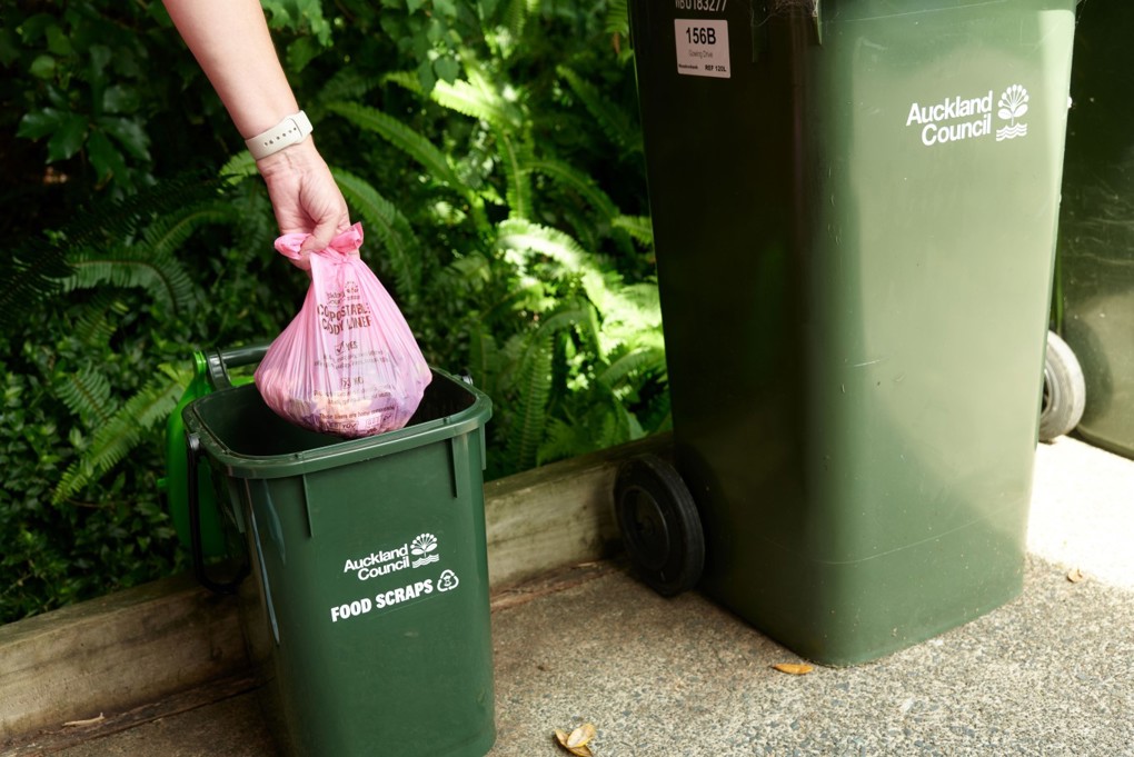 Summer Tips For Food Scraps Image 1