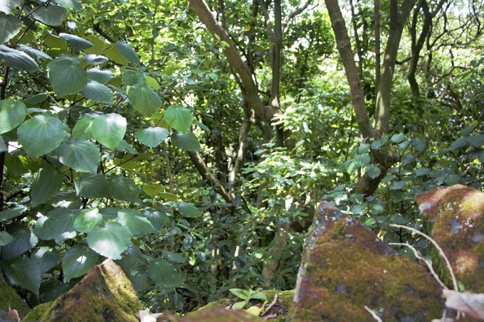 Locals supported to help preserve ecological treasure