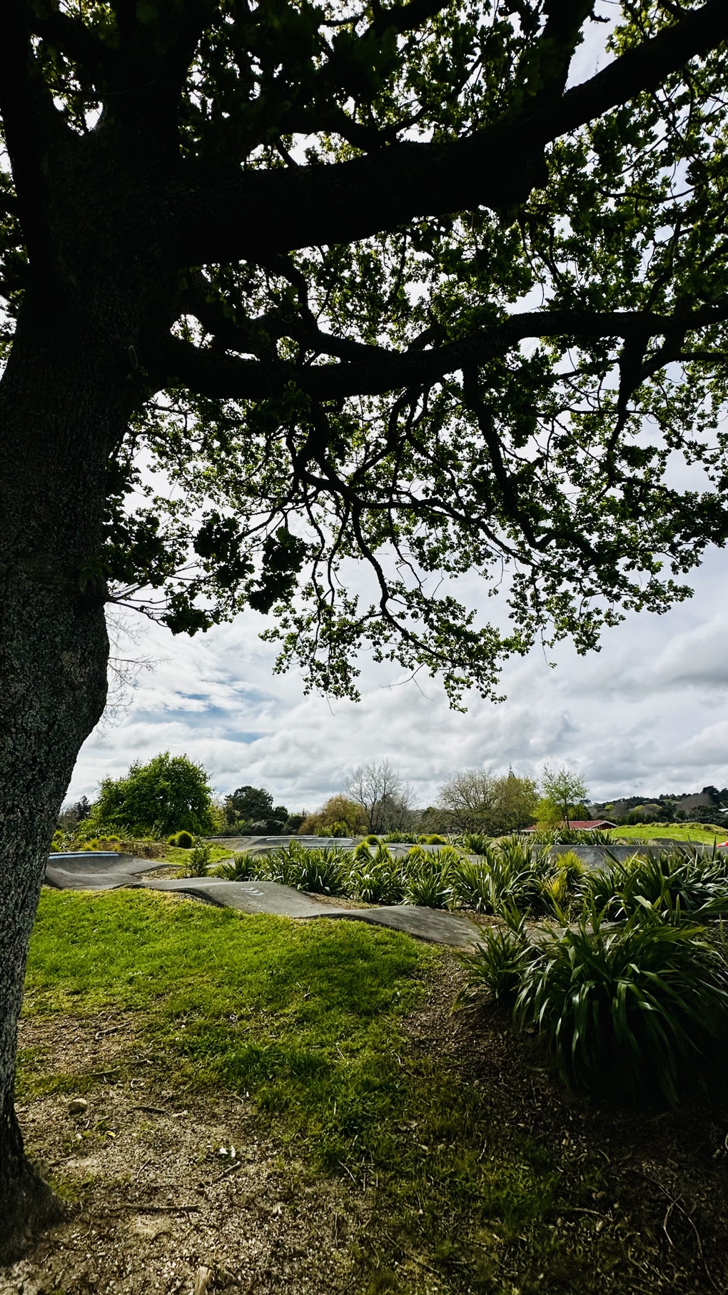 A bike path