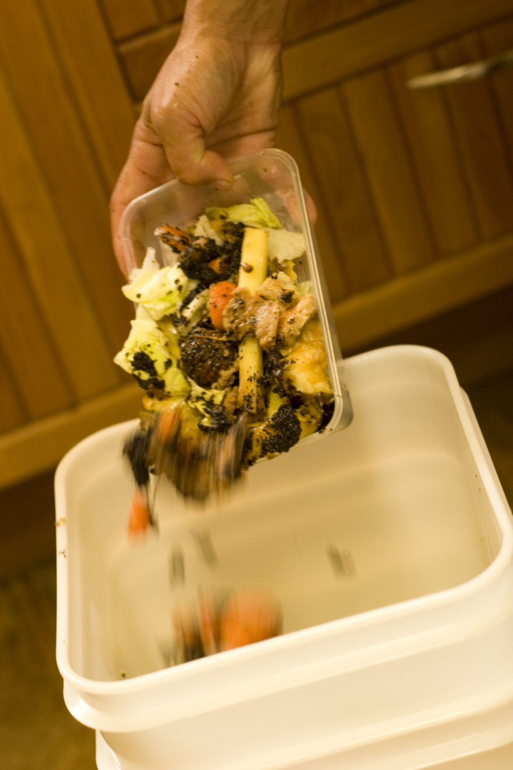 Food scraps.jpg
