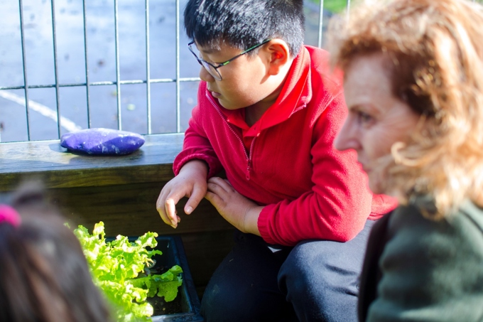 Edmonton Primary School