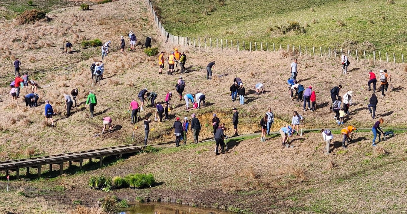 Planting day at Churchill Park. 
