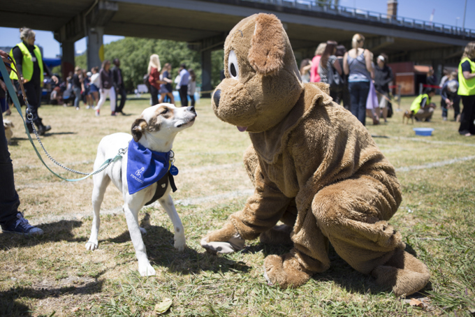 "Walkies" a resounding success (7)