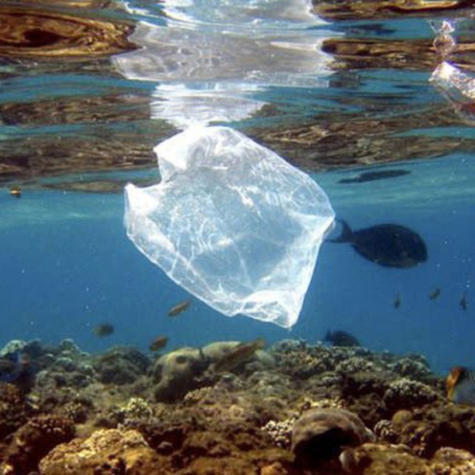 Waiheke waging war on plastic