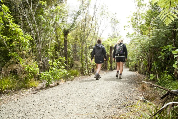 Staying safe in Auckland’s regional parks 1