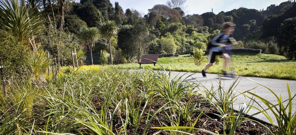 A kick-start for Meadowbank-Kohimarama connectivity project