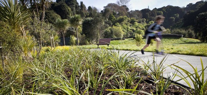 A kick-start for Meadowbank-Kohimarama connectivity project