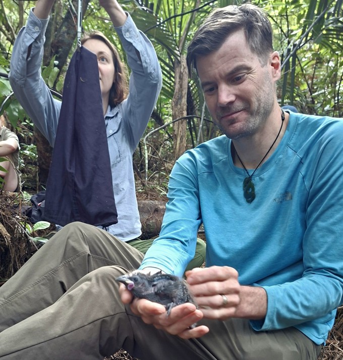 A bird in someone's hand