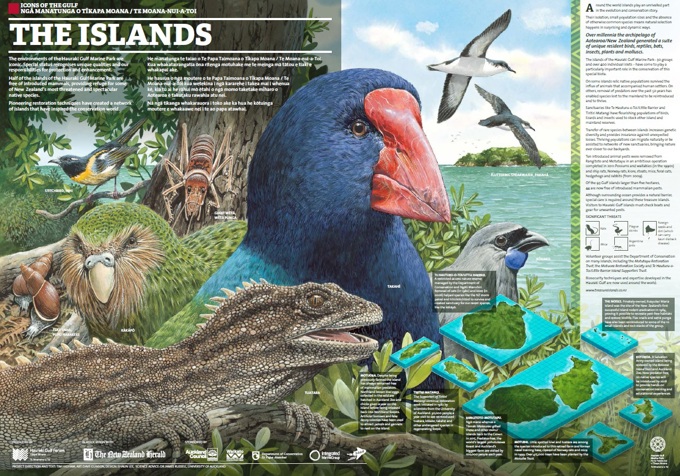 Celebrating the wonders of our gulf 1