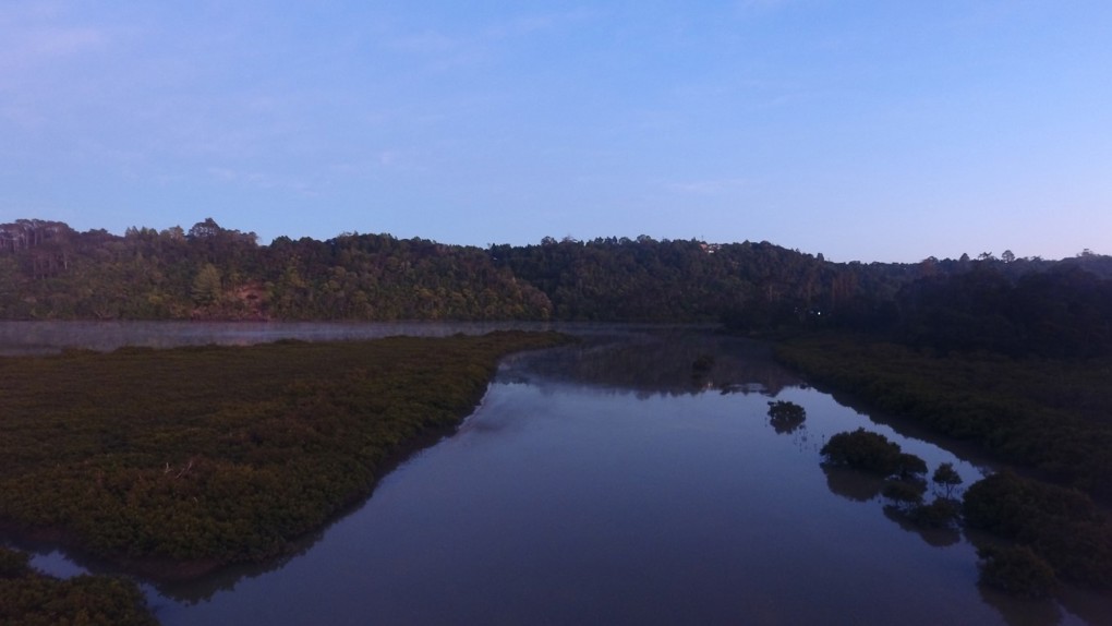 Image Of Kaipataki Creek