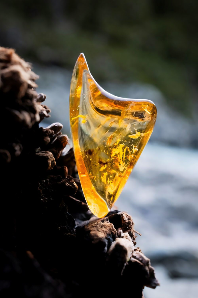 musical firelight_244ogu25.png