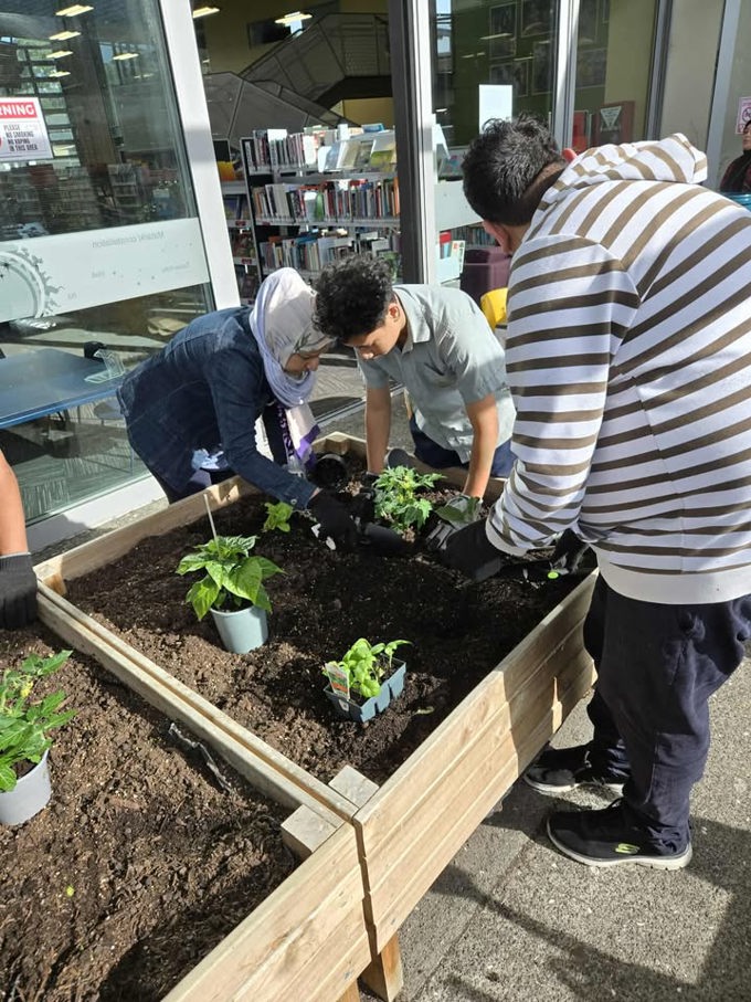 Maara 2_s4x1b3ga.jpg