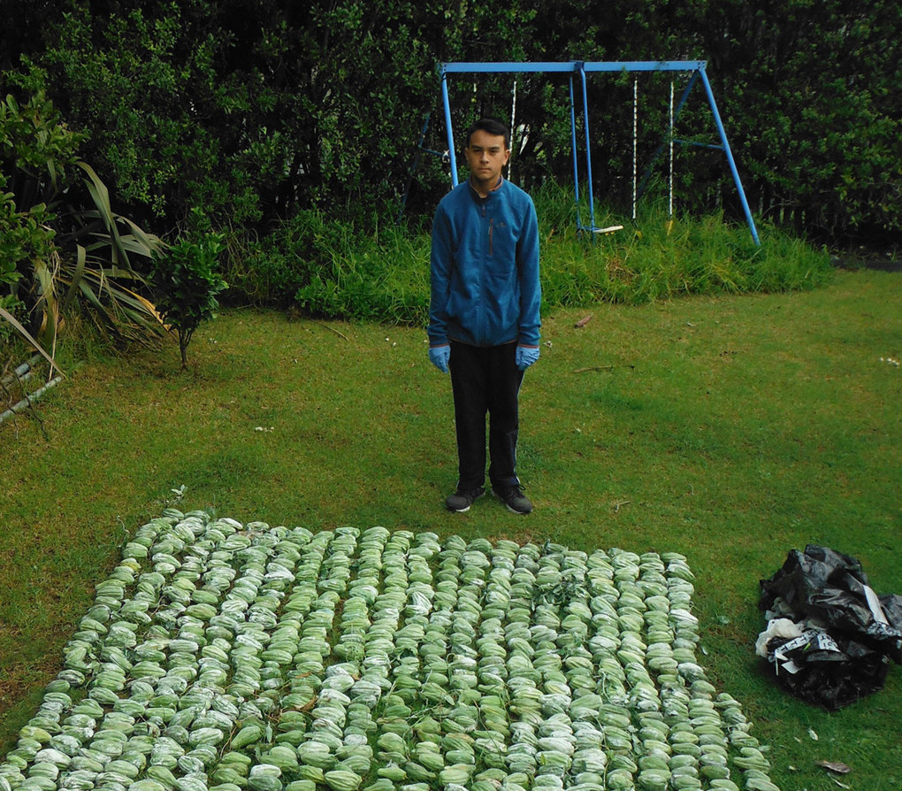 weed1.jpg (1)