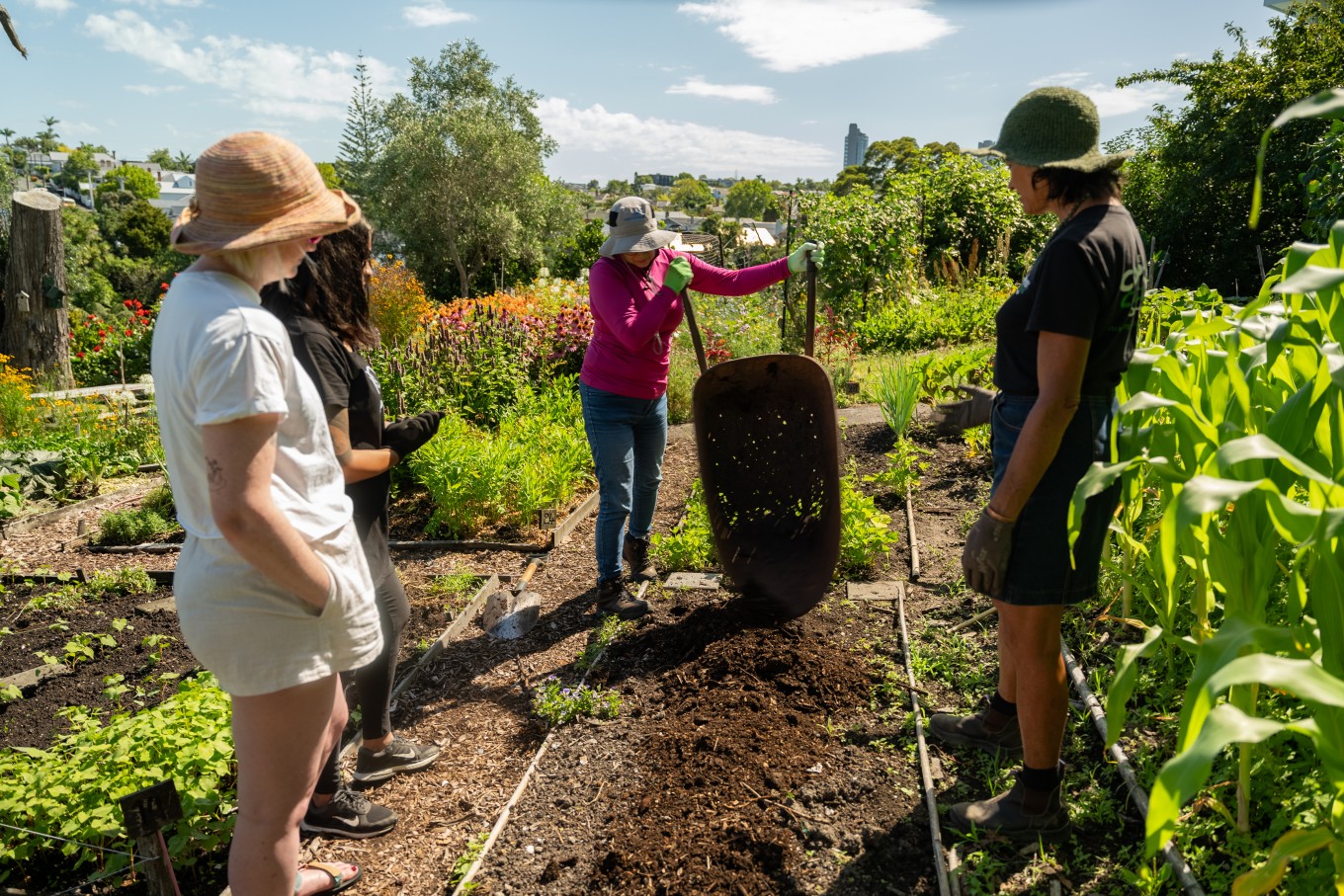People learning how to compost.