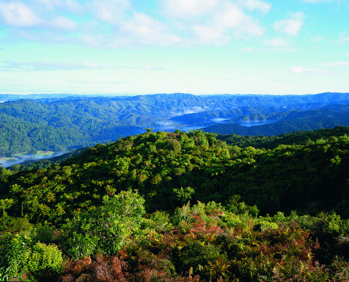 Aerial view of Te Ngāherehere o Kohukohunui / Hūnua Ranges