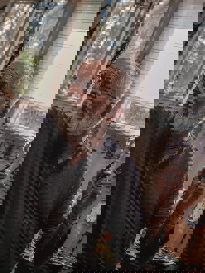 Open Studios Waitakere 4