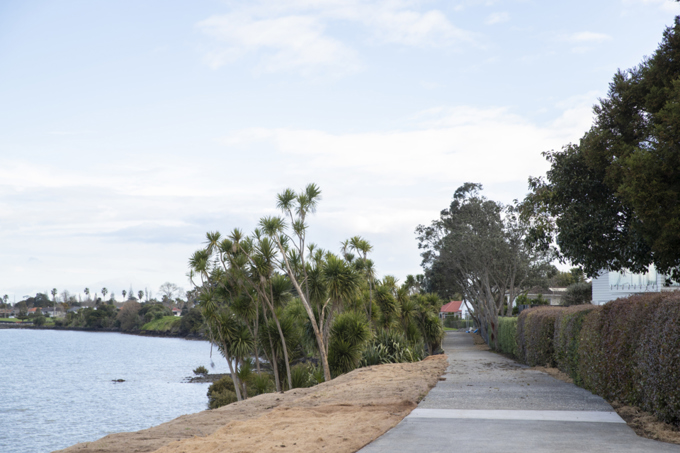 Tamaki Path Project Update