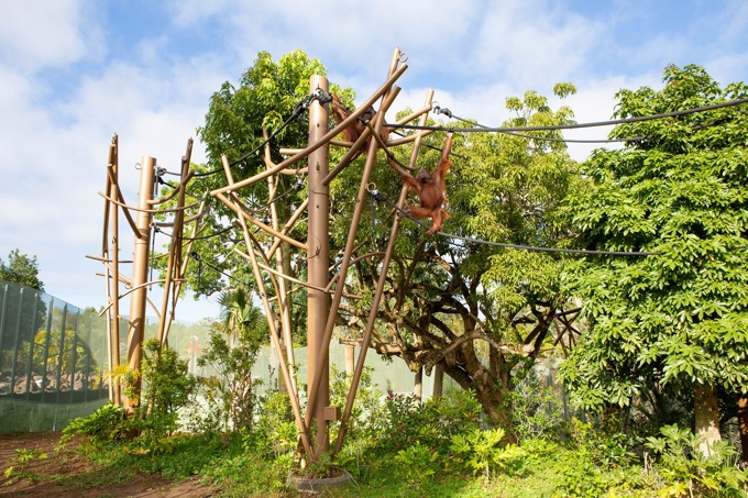 Auckland to South East Asia (2)