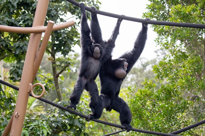 Auckland to South East Asia (1)