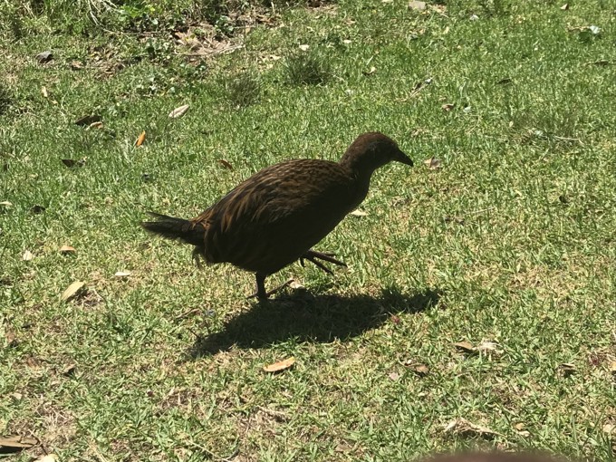240122 PHOTO Mayor Summer Boating Trip Weka
