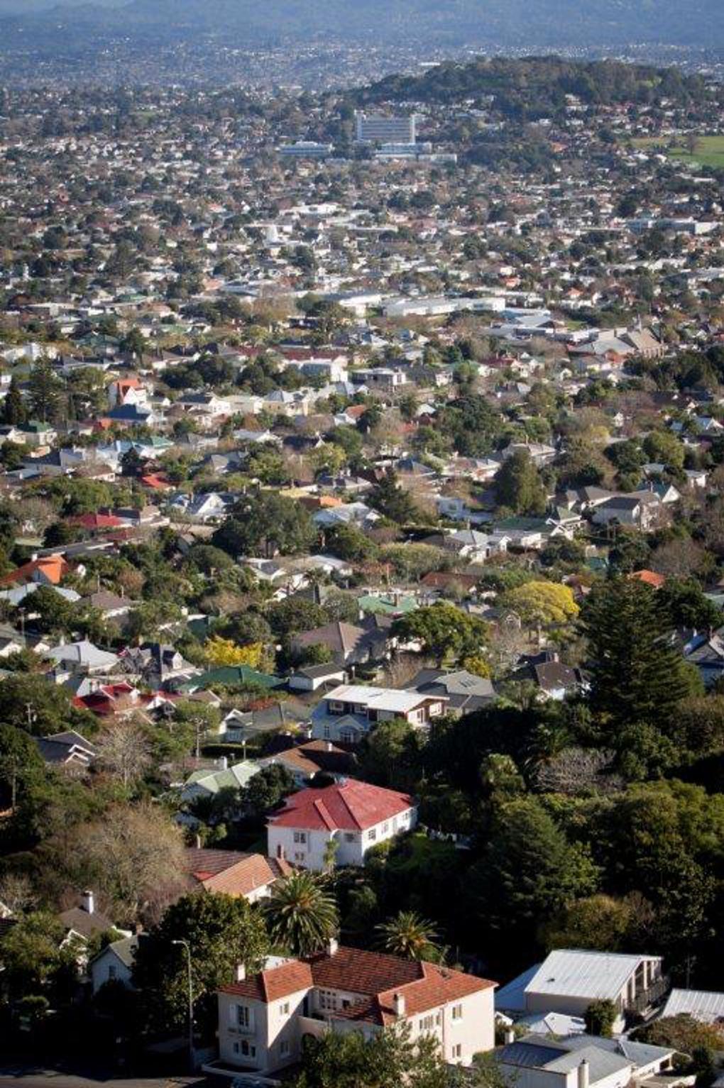 Knowing, growing and protecting - a flourishing urban forest for Auckland