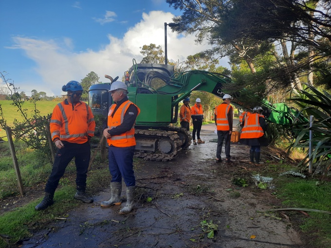 Workers clearing folliage from storms
