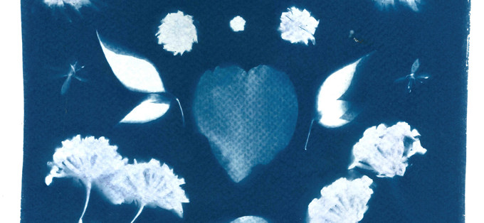 Cyanotype workshop - EventFinda_k4txu2dn.JPG