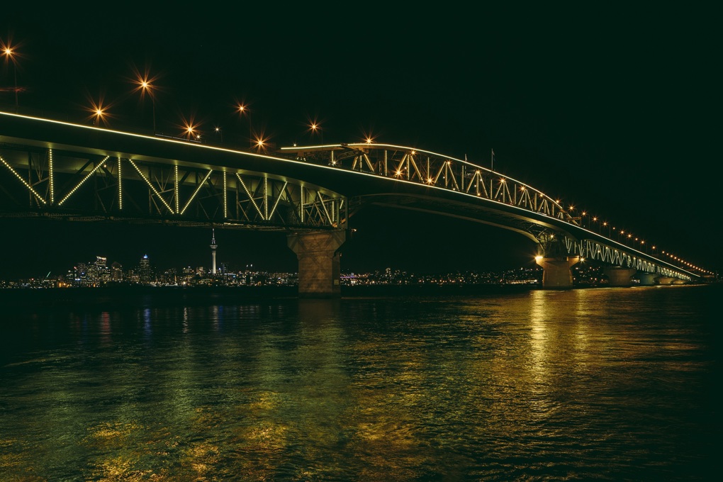 Vector lights to shine in support of Daffodil Day