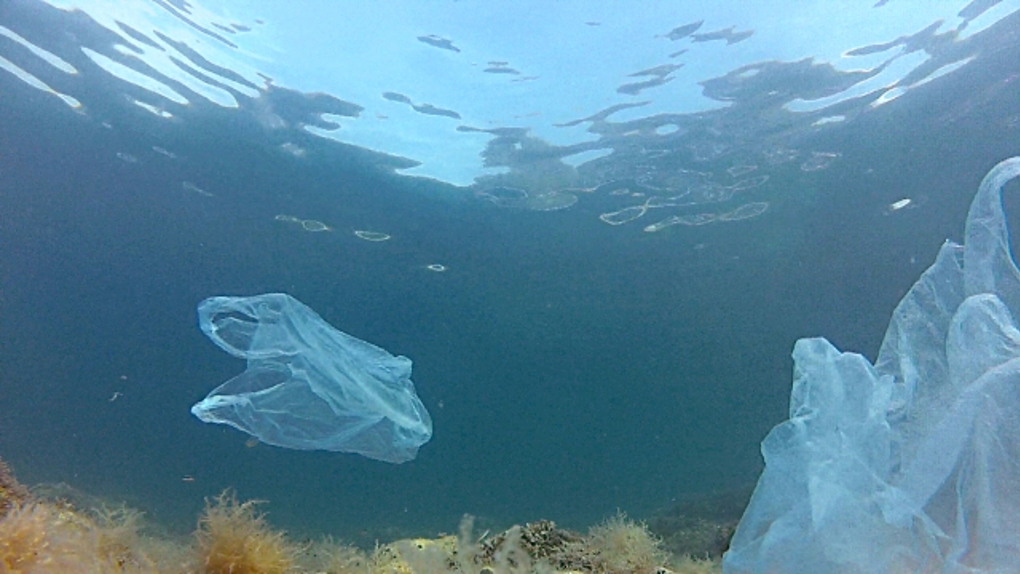 Five simple swaps to turn your habits from plastic to fantastic 3