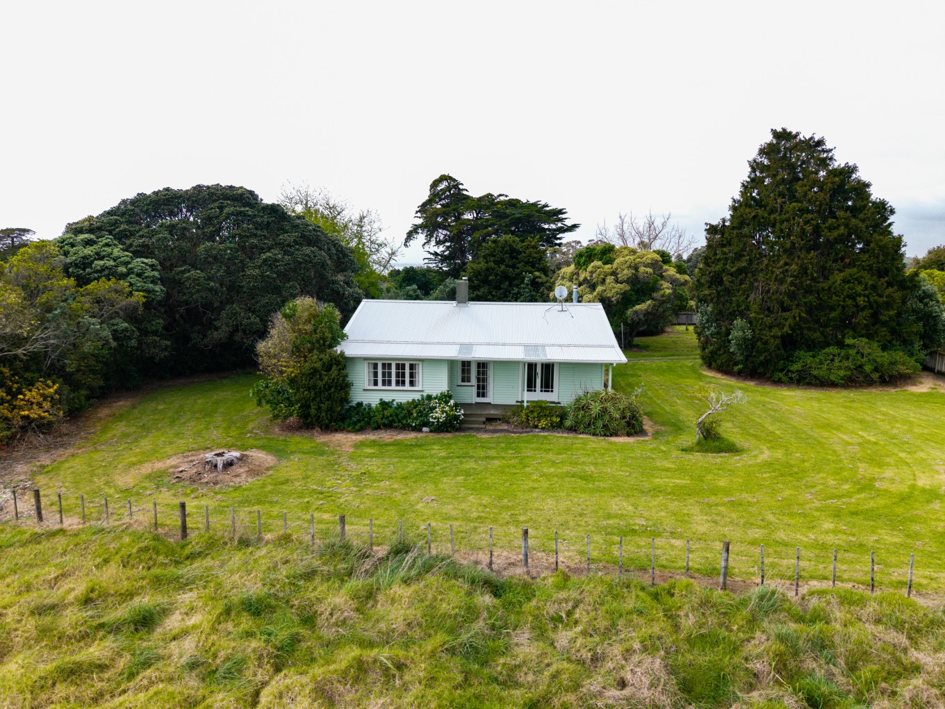 A bush area surrounding a cottage house.