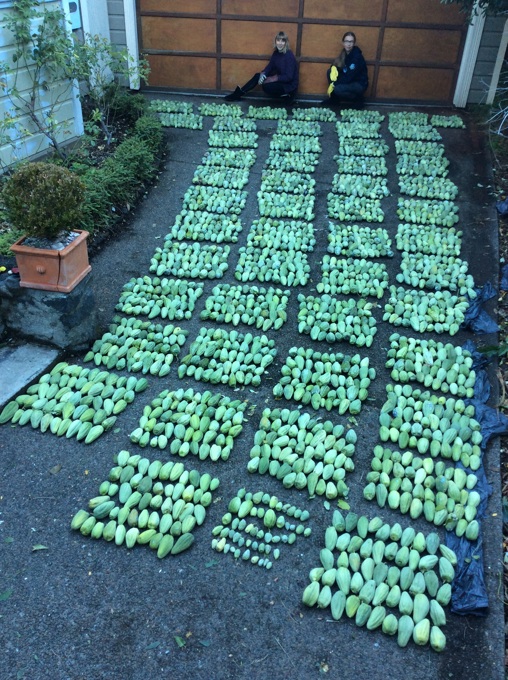 Meet a Pest Free Hero Izzy Mackenzie 2