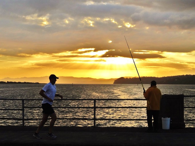 Caring for the Manukau Harbour