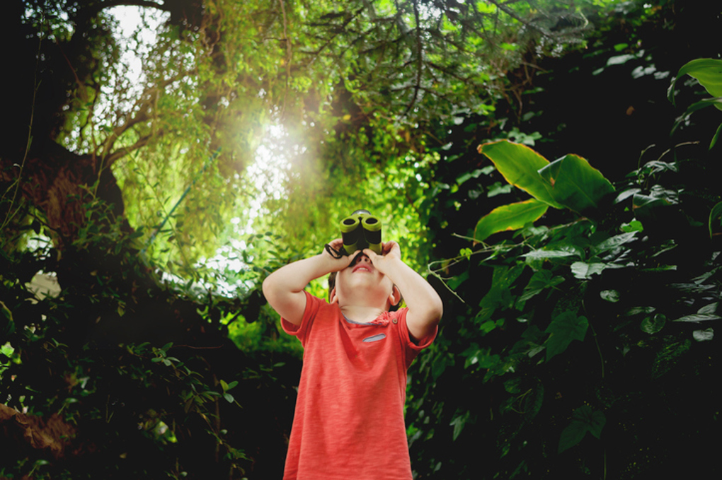 Scavenger Hunt, Gettyimages 618983888